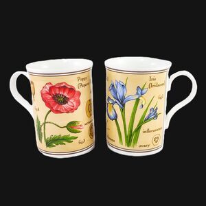 Crown Trent Botanical Mugs Set 2 Poppy Iris Spring Flowers Bone China England